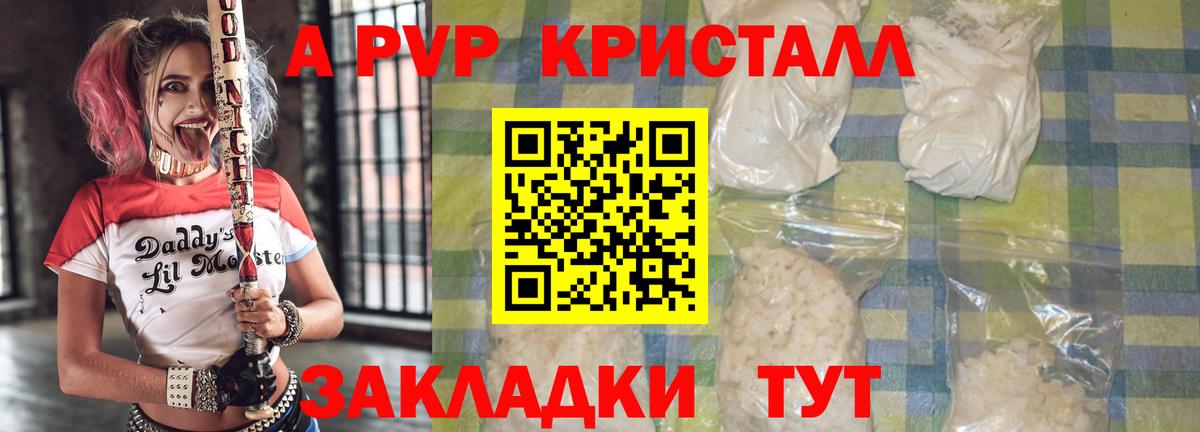 APVP СК Воркута
