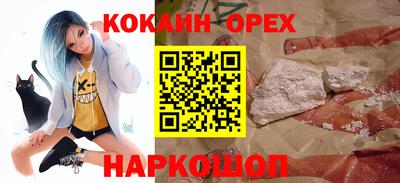 гашик Бердск
